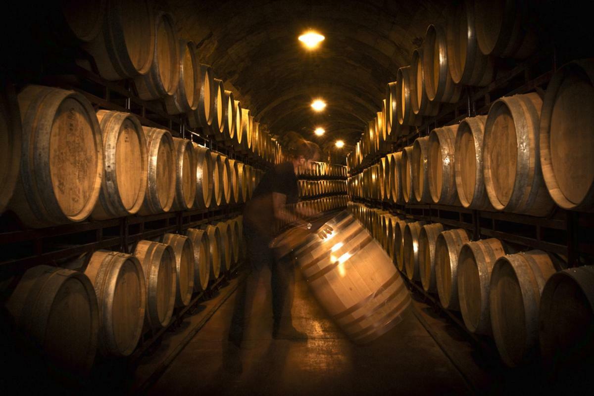 Vinicola Real-200 Monges
